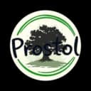 ProStol Logo